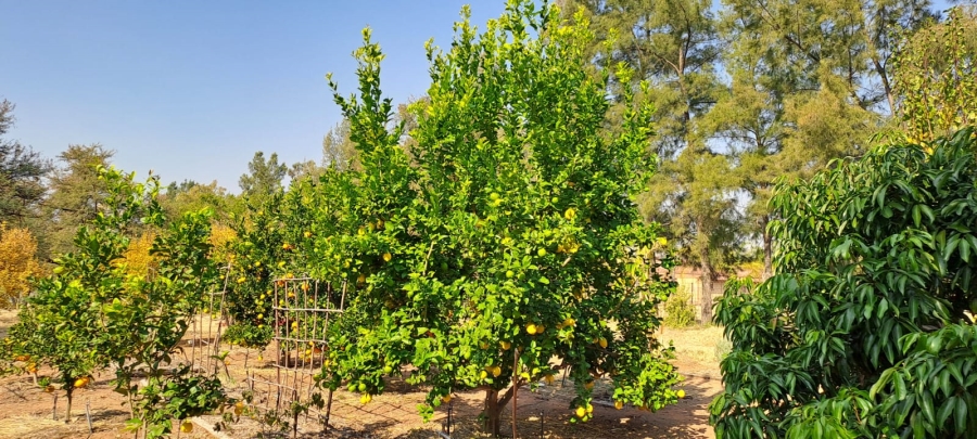 3 Bedroom Property for Sale in Modderfontein A H North West